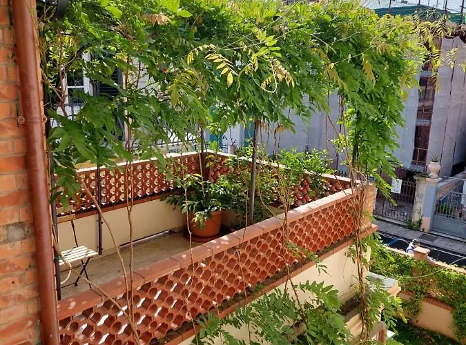 Bed & Breakfast Pura Vida Viareggio