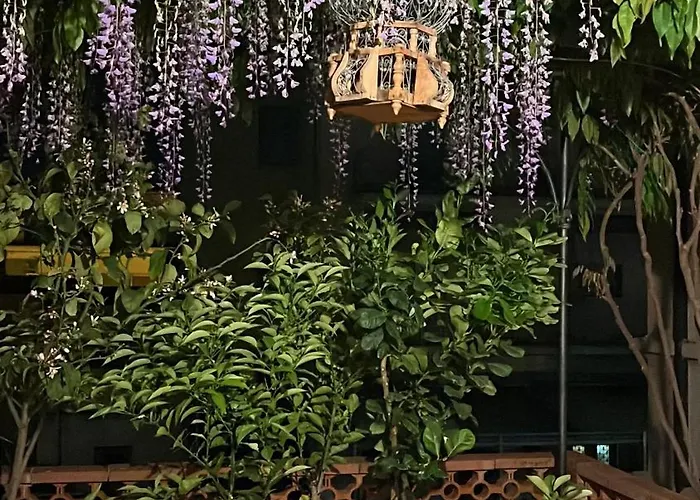 Nocleg ze śniadaniem Pura Vida 3*